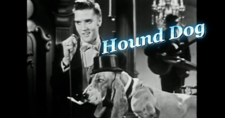 Elvis Presley Hound Dog